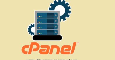 cpanel server support