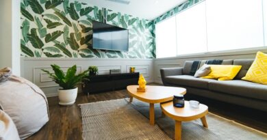 Sustainable Options for Your Home Decor That You Must Know