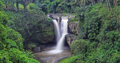 Tegenungan waterfall