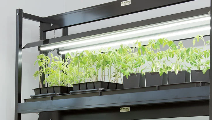 The most effective method to Choose a Grow Light