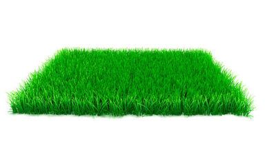 Artificial Grass in West Midlands