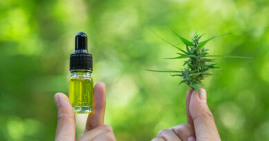 The 10 Best CBD Products Review 2022