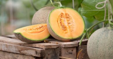 It has numerous health benefits to eating cantaloupes