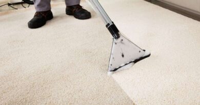 Carpet Cleaning