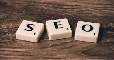 small business SEO services