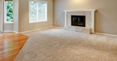 Carpet Cleaning