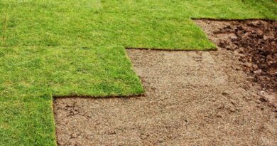 Atlanta's Sod Farm