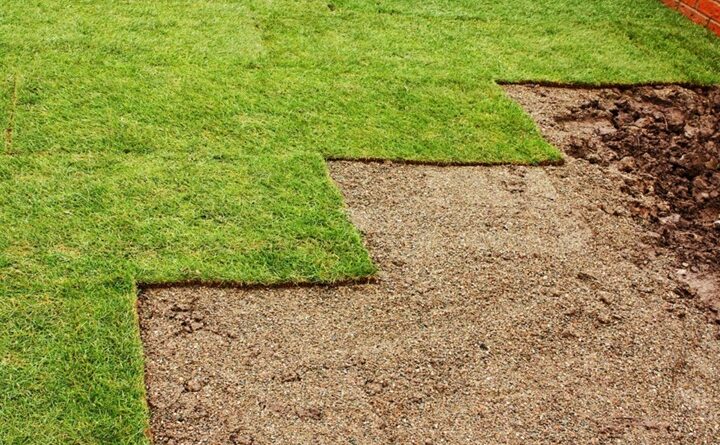 Atlanta's Sod Farm