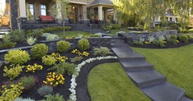 Crucial Things You Should Ask Your Landscape Supplier